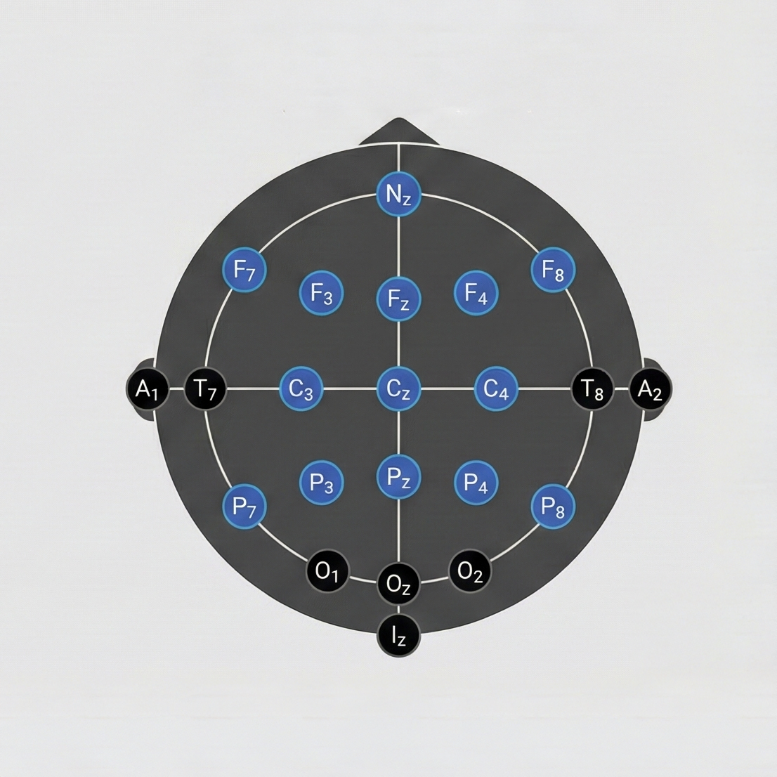Complete tDCS Electrode Placement Guide | TheBrainDriver